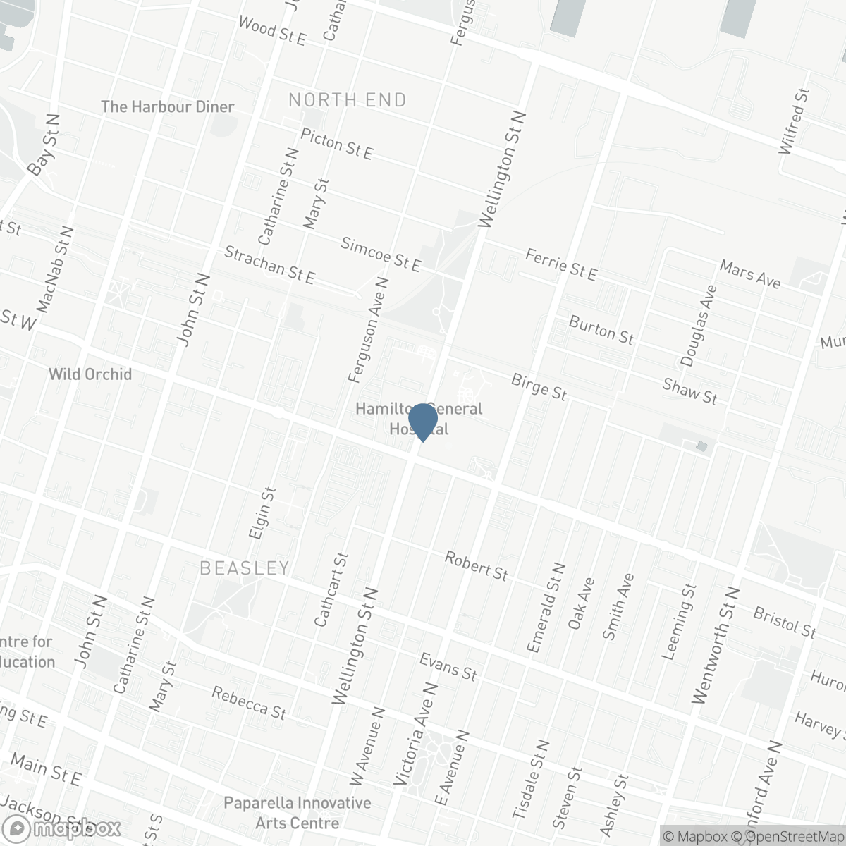 133-135 WELLINGTON STREET, Hamilton, Ontario L8R 1N4